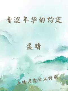 青涩年华的约定