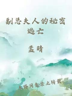 副总夫人的秘密逃亡