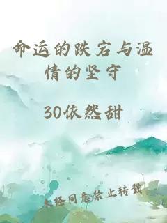 命运的跌宕与温情的坚守
