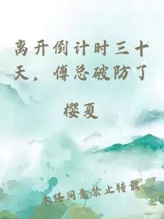 离开倒计时三十天，傅总破防了
