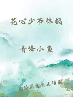 花心少爷林枫